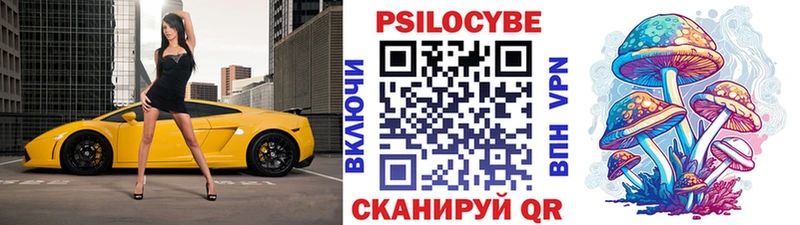 Псилоцибиновые грибы Psilocybe  Сердобск 